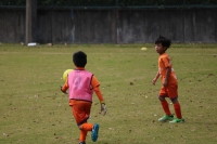 IMG_3435 (2)_R_R