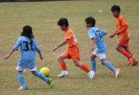 IMG_3505 (2)_R_R