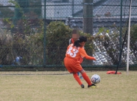 IMG_3553 (2)_R_R