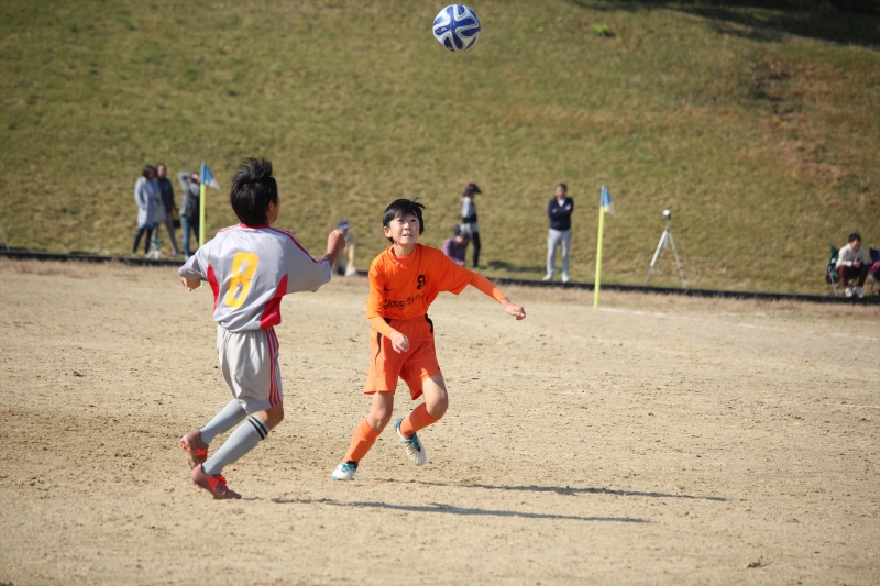 IMG_3913_R_R