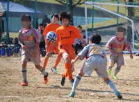 IMG_3797_R_R