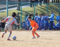 IMG_3881_R_R