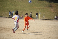 IMG_3913_R_R