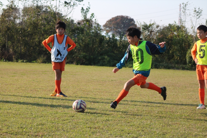 IMG_3802 (2)_R_R