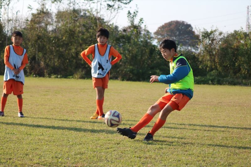 IMG_3803 (2)_R_R