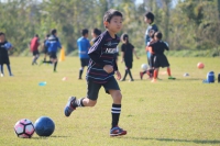 IMG_3654 (2)_R_R