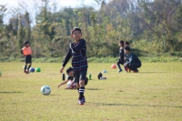 IMG_3720 (2)_R_R