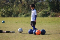 IMG_3729 (2)_R_R