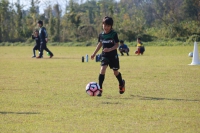 IMG_3733 (2)_R_R