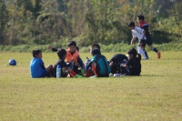 IMG_3737 (2)_R_R