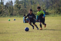 IMG_3740 (2)_R_R