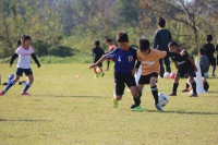 IMG_3750 (2)_R_R