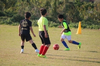 IMG_3789 (2)_R_R