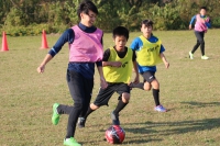 IMG_3793 (2)_R_R