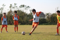 IMG_3795 (2)_R_R