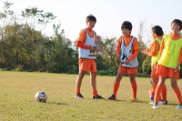 IMG_3808 (2)_R_R