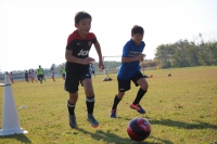 IMG_4254_R_R