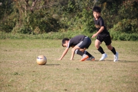 IMG_4339_R_R