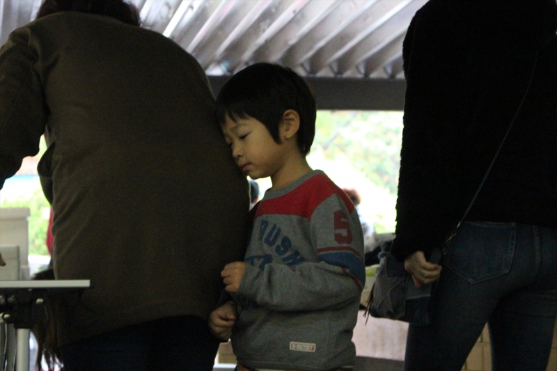 IMG_5528_R_R