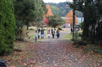 IMG_5454_R_R
