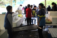 IMG_5474_R_R