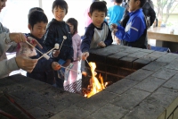IMG_5920_R_R
