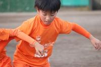 IMG_0601_R_R