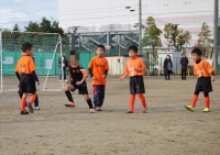 IMG_6233_R_R