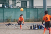 IMG_6255_R_R