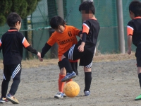IMG_6270_R_R