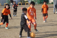 IMG_6284_R_R