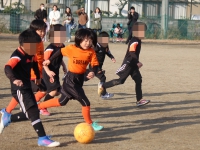 IMG_6290_R_R