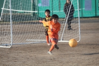 IMG_6295_R_R