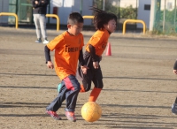 IMG_6300_R_R