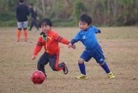 IMG_0062_R_R