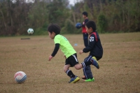 IMG_0098_R_R