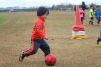 IMG_0147_R_R