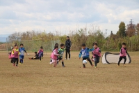IMG_0193_R_R