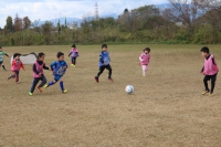 IMG_0198_R_R