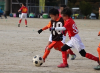 IMG_2201_R_R