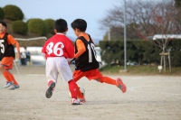 IMG_2345_R_R