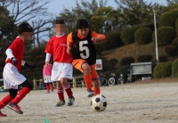 IMG_2366_R_R