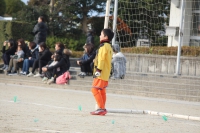IMG_6698_R_R