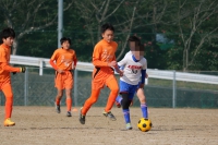 IMG_2045_R_R