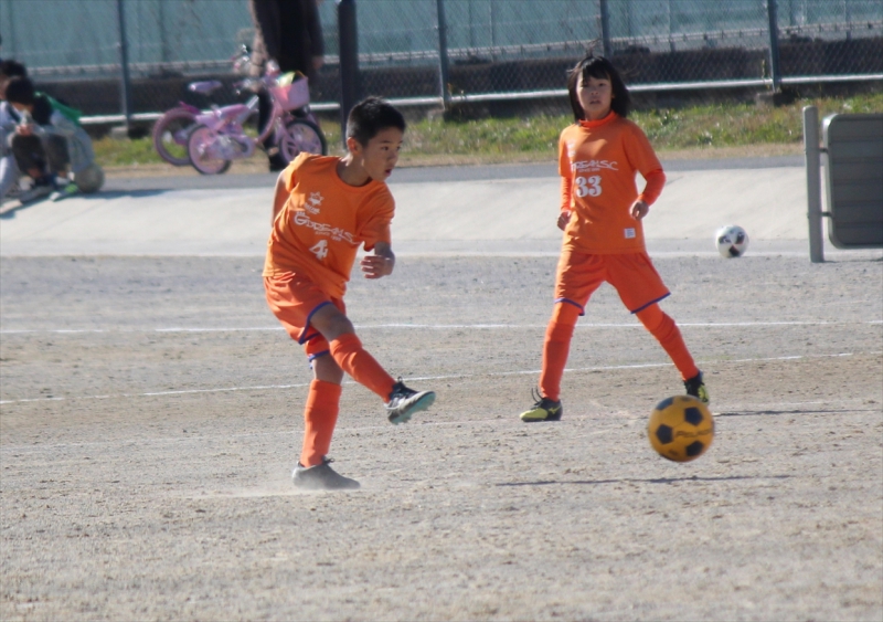 IMG_7074_R_R