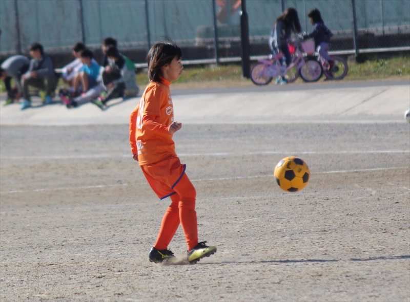 IMG_7095_R_R