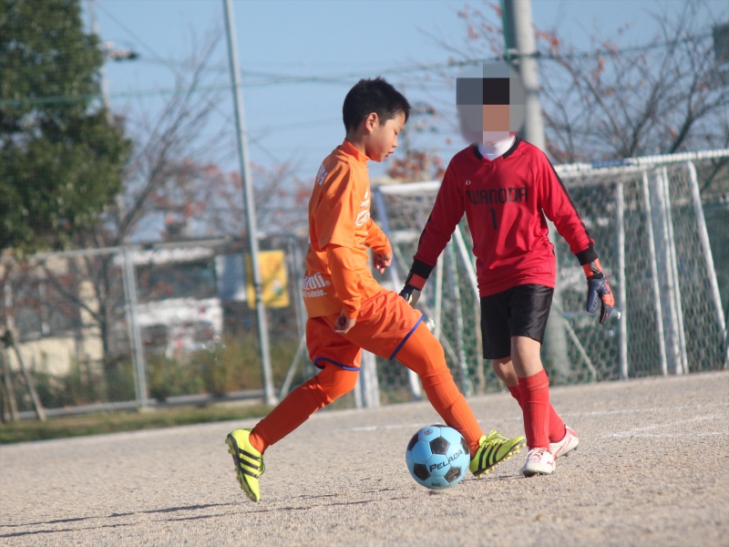 IMG_8658_R_R