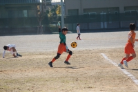 IMG_7240_R_R