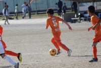 IMG_7368_R_R