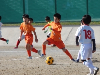 IMG_7445_R_R